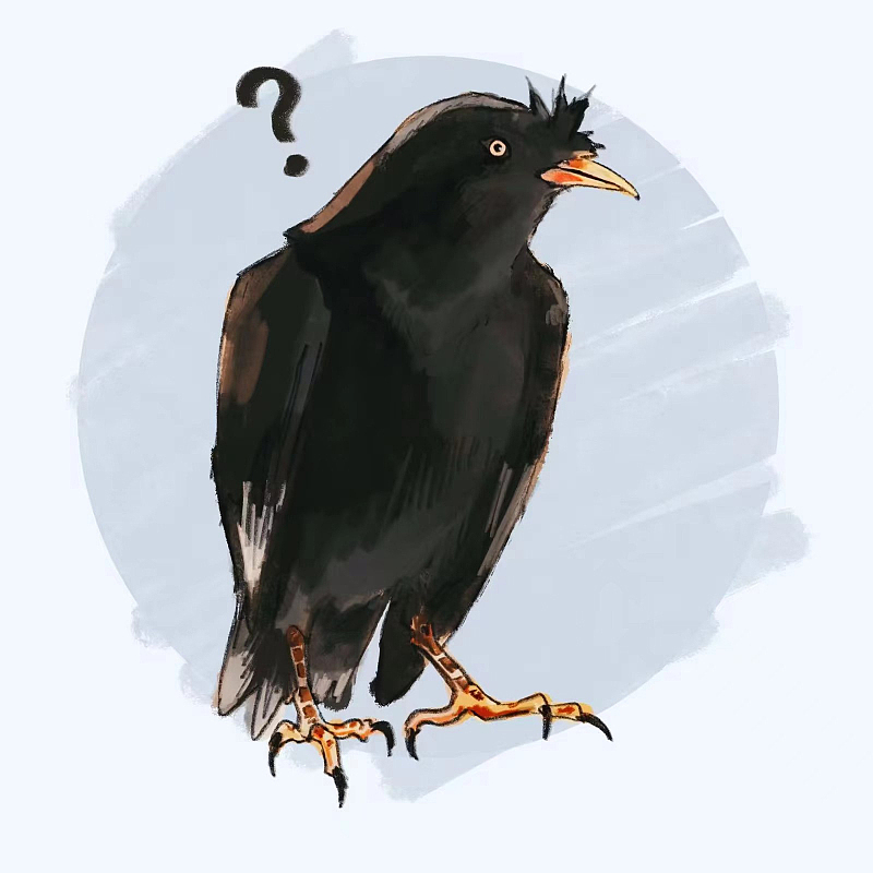 网友的小鸟 | 绘画合集（图ZMzU3ODkyODY0） - 艺术插画 - 站酷设计师阿花花太多原创素材 - 站酷ZCOOL