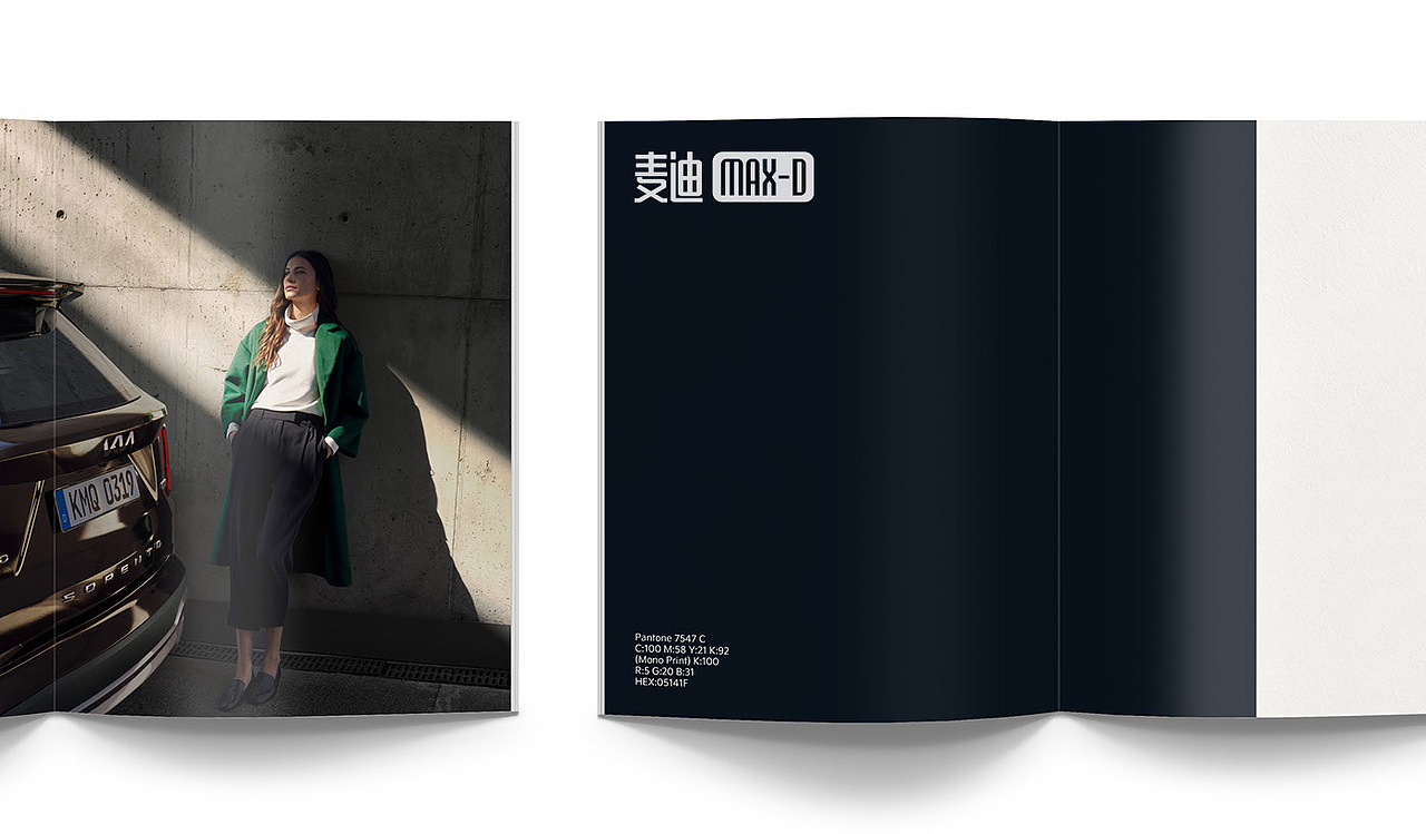 MAX-D 品牌设计