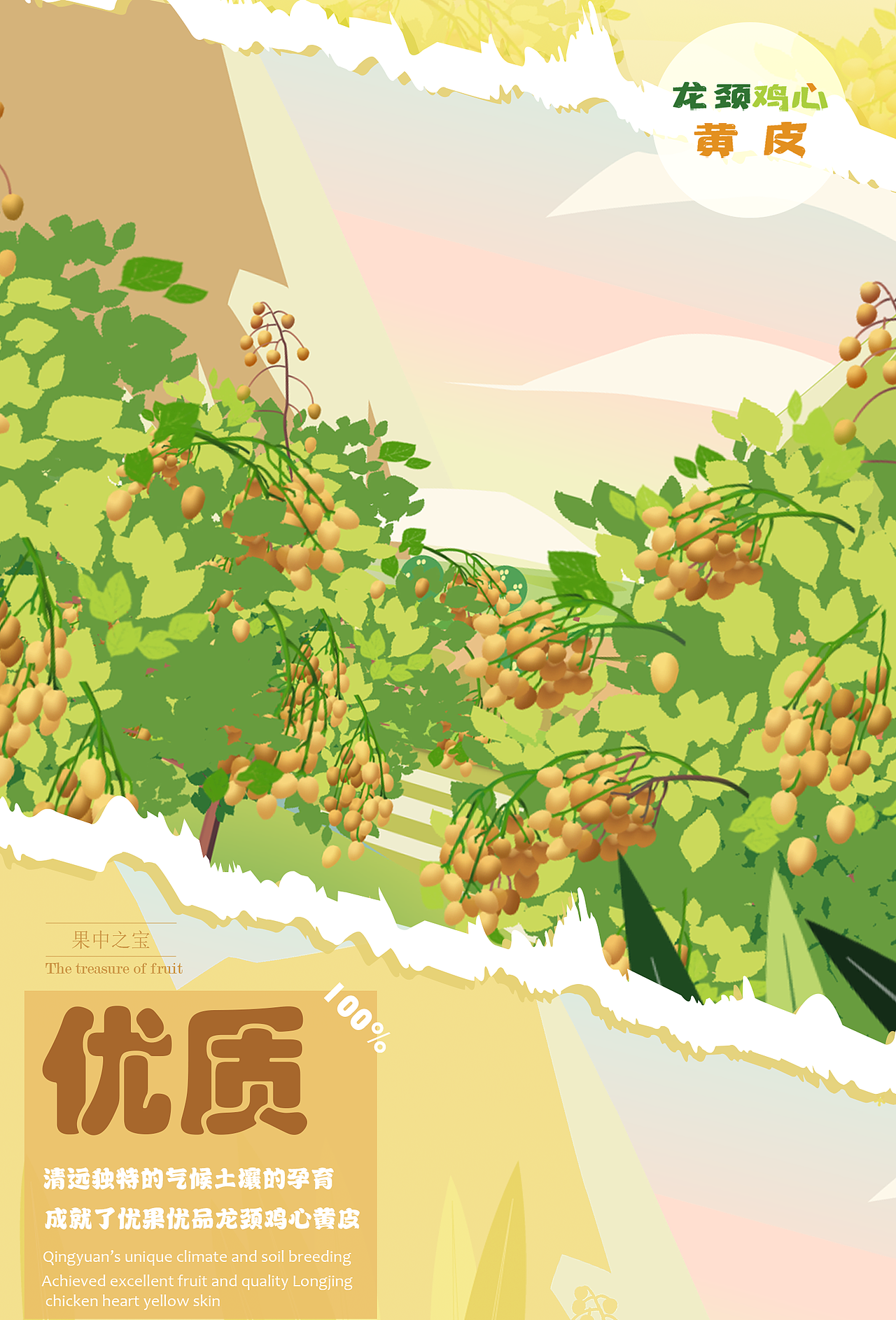 MG动画-龙颈鸡心黄皮（图ZMzMzODY2NzEy） - Motion Graphic - 站酷设计师野绿原创素材 - 站酷ZCOOL