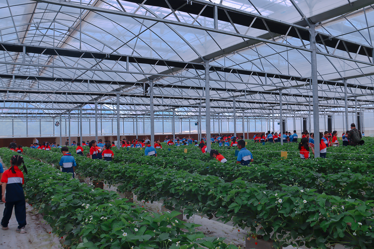 走出教室,走进田间丨后溪小学走进文源山现代农业基地