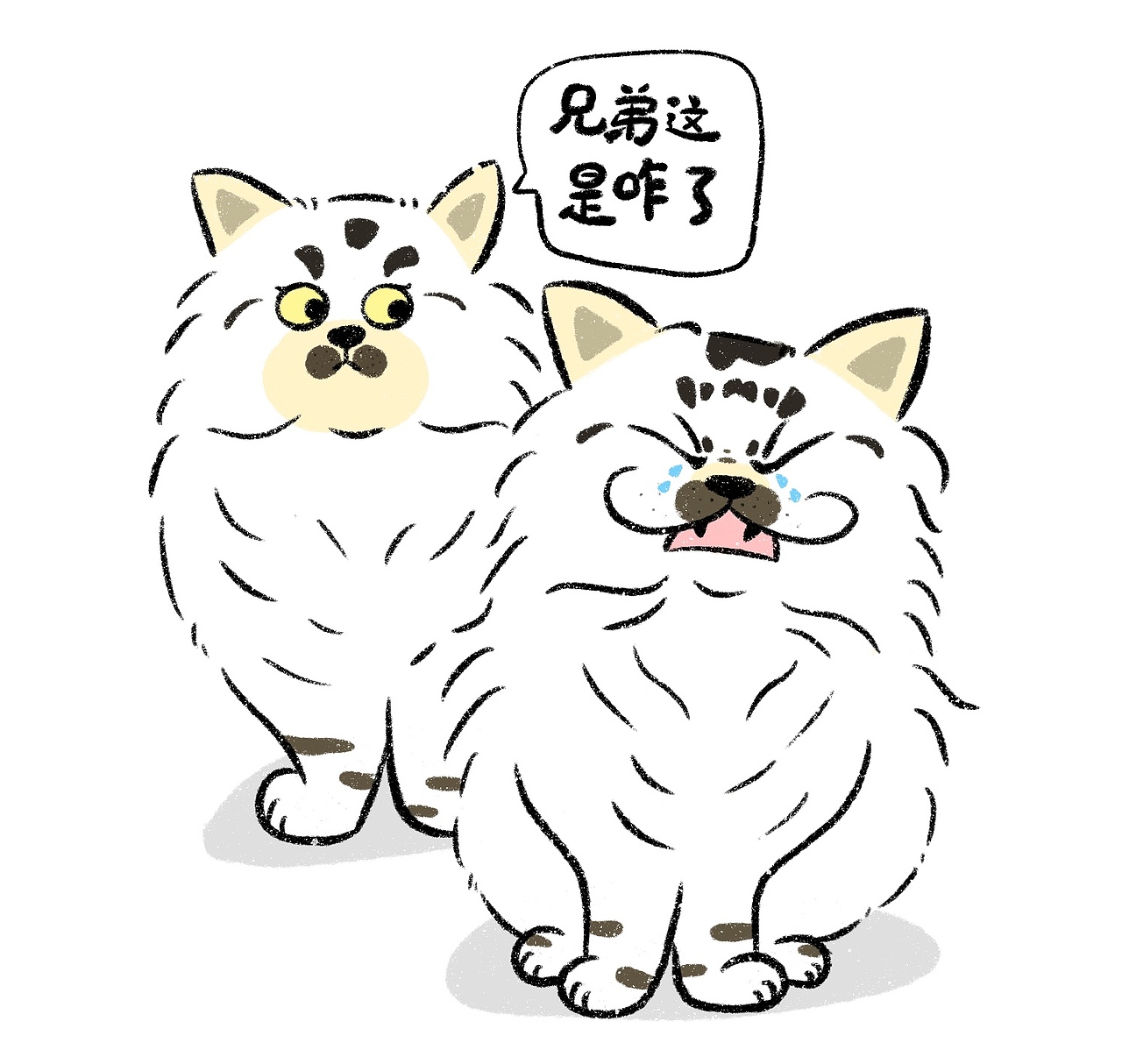 猫猫狗狗大合集（图ZMzY2OTkzMDQw） - 创作习作 - 站酷设计师Catmiaomiaomiao原创素材 - 站酷ZCOOL