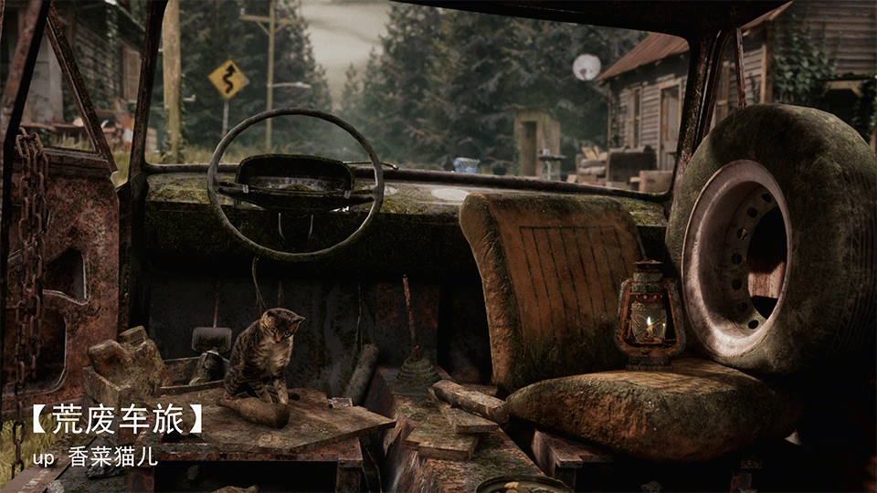 最后的生还者，一只幸存的小猫