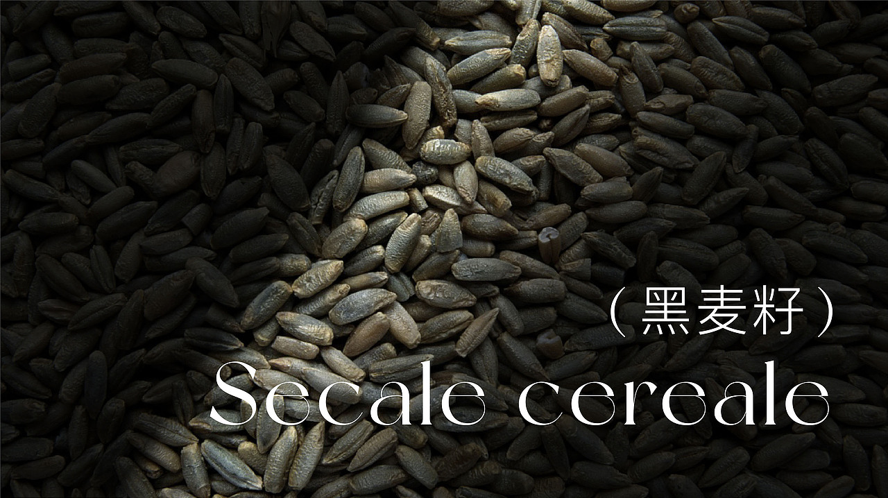 少时品牌全案+“时钟肌律”系列产品包装