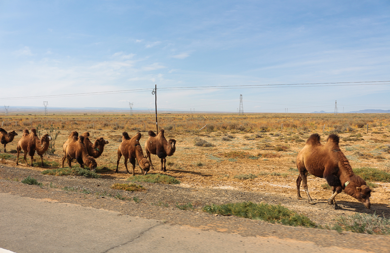 路上的风景（北疆行3）#唤醒相册 激活镜头里的多巴胺#（图ZMzUyMTg3OTAw） - 风光摄影 - 站酷设计师OK棒_原创素材 - 站酷ZCOOL