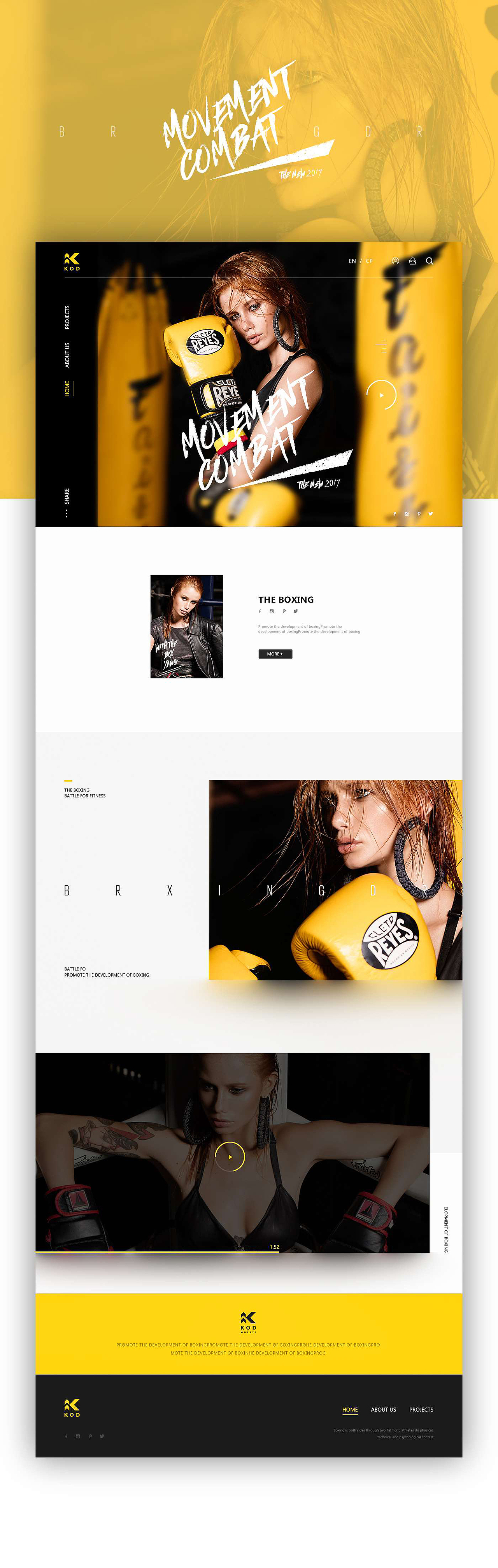 霸王龙Xx.2025作品集