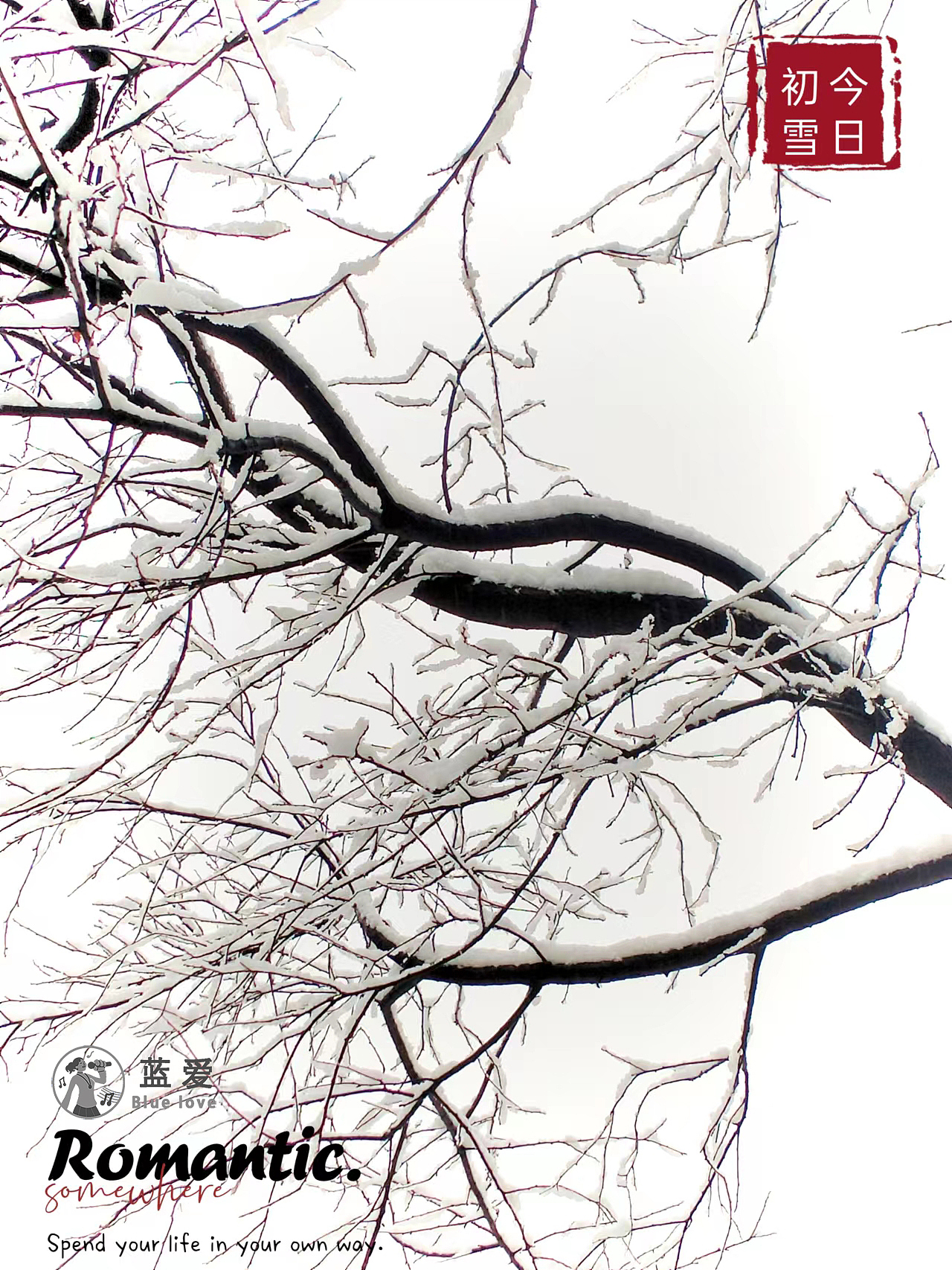 甲辰年第一场雪