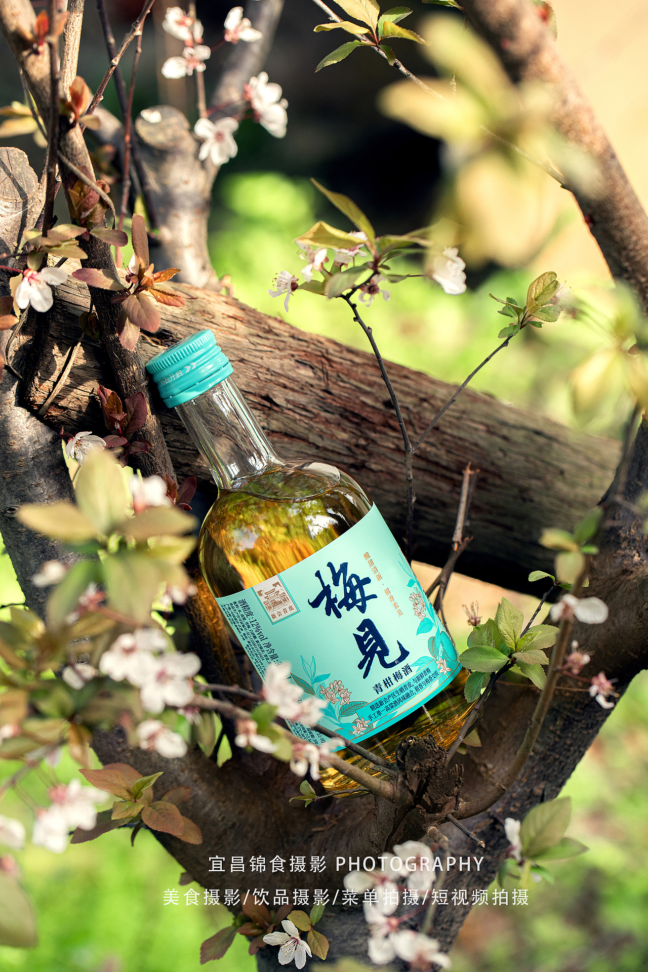 青梅酒拍摄/果酒饮品摄影/宜昌美食照/户外森系氛围感