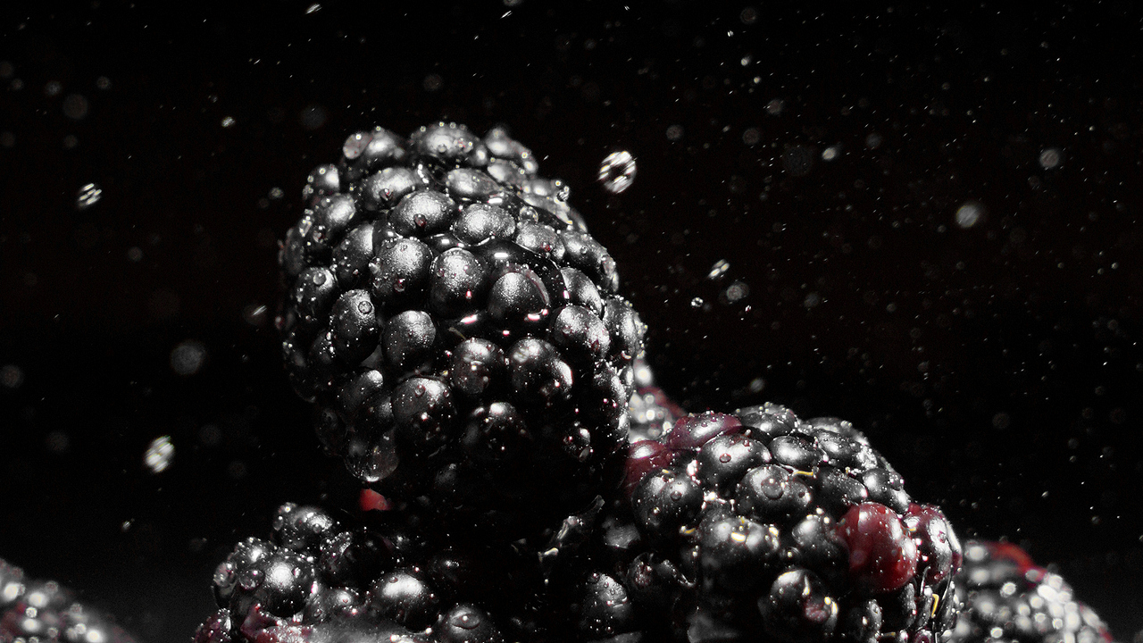 抹茶粉/可可粉/水果素材合集