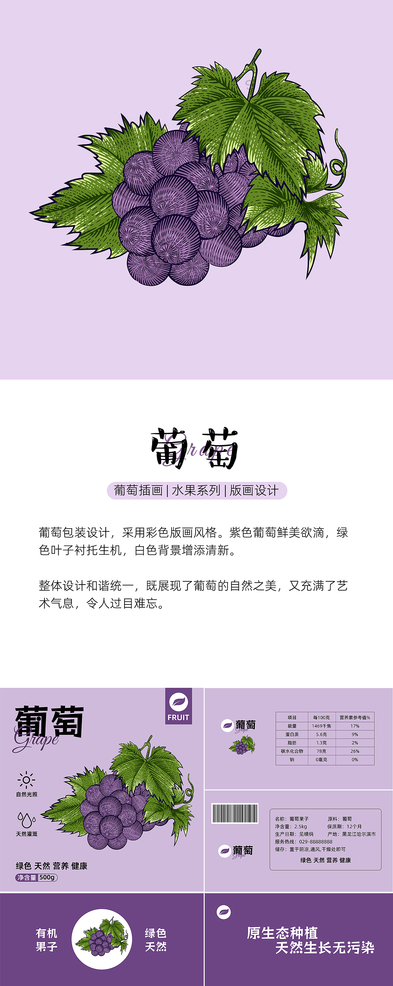 包装设计 | 水果包装系列插画 版画风