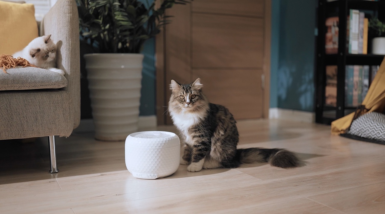 宠上宠智能饮水器 PETSUPER