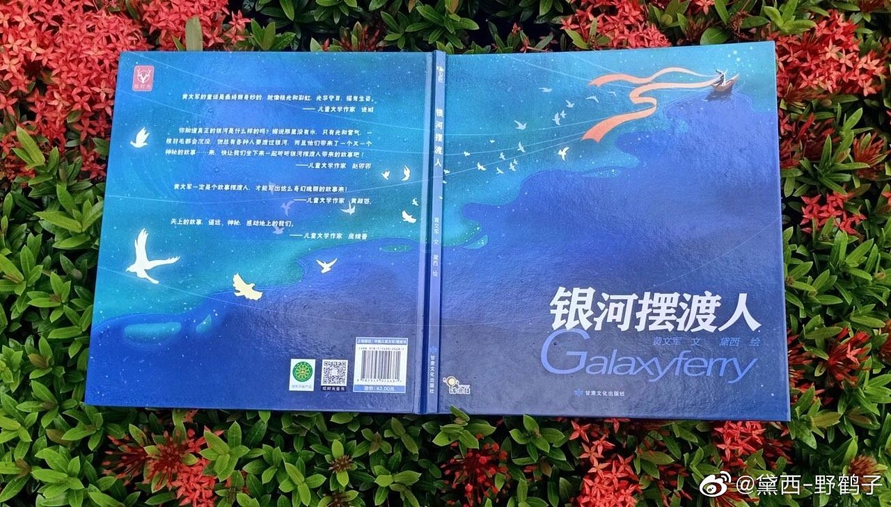 银河摆渡人，出版了（图ZMzA0NTQyODI0） - 绘本 - 站酷设计师黛西野鹤原创素材 - 站酷ZCOOL