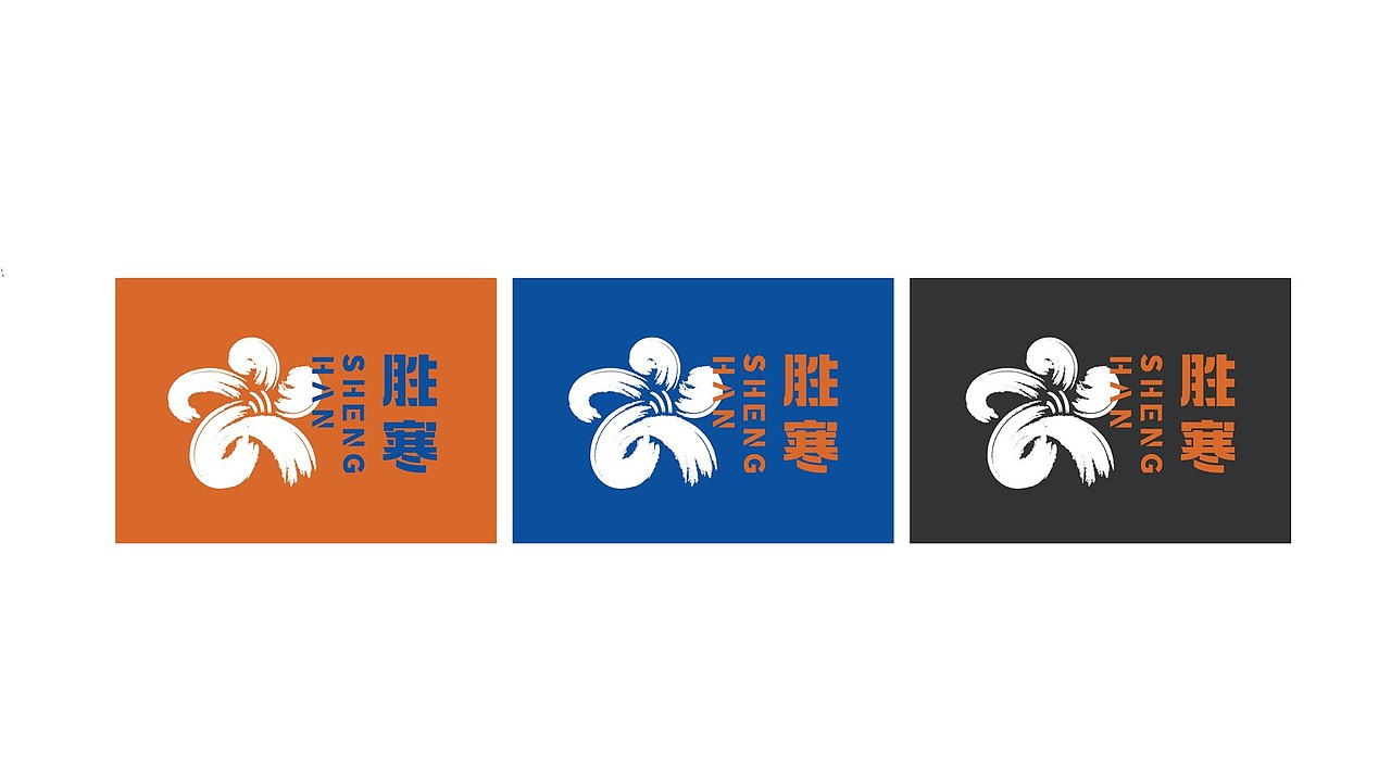 三颗桩品牌设计-胜寒运动俱乐部