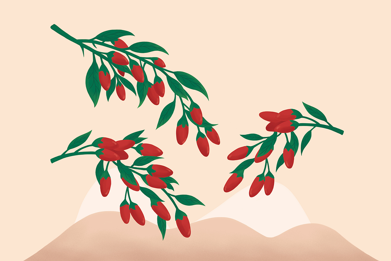 花草茶包装设计插画（图ZMzEwMzMxMjY0） - 包装 - 站酷设计师庭海原创素材 - 站酷ZCOOL