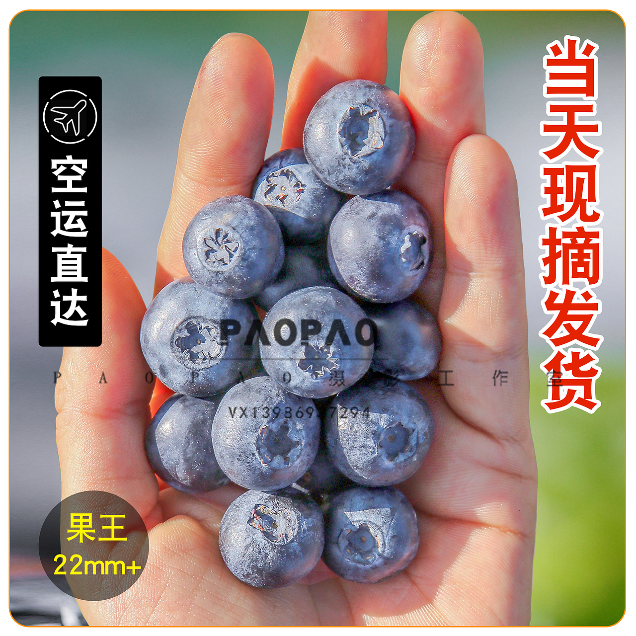 全网爆款新鲜蓝莓主图上新了