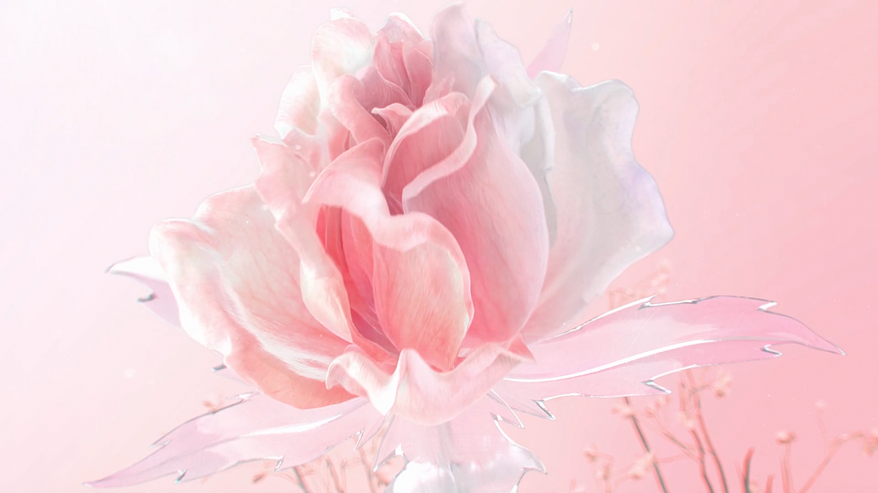 完美日记 | 永生花礼盒挚爱版