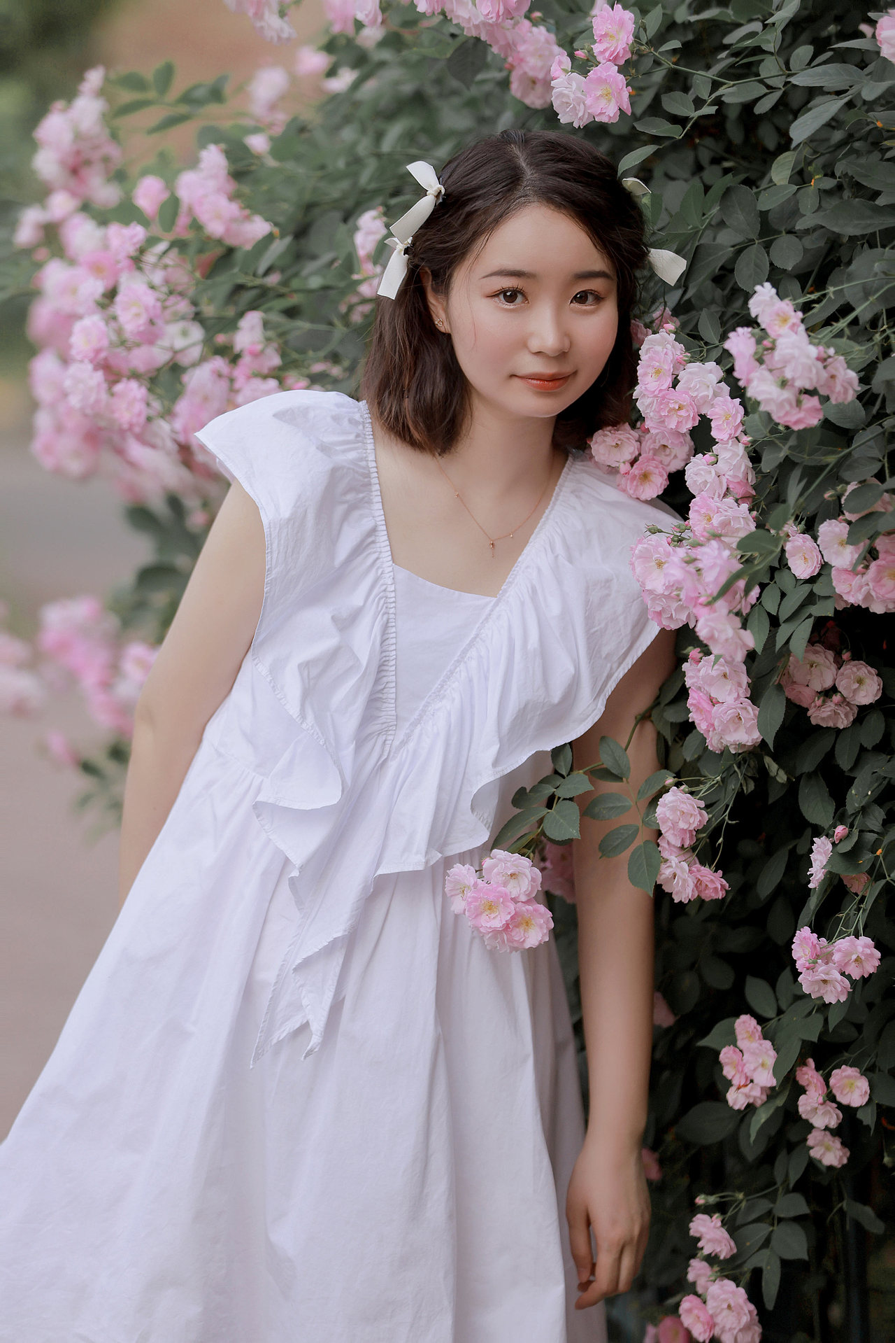 【暮春初夏 蔷薇花开】