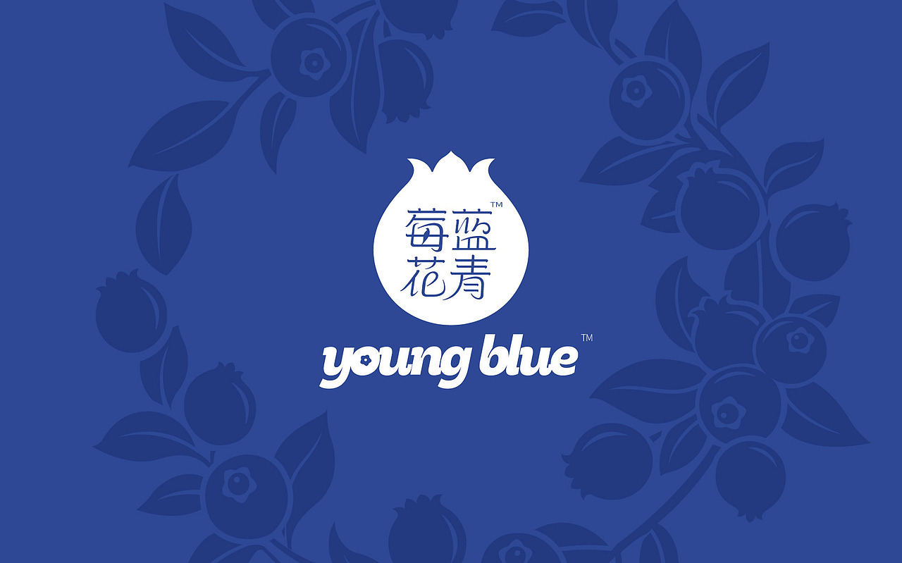 蓝莓品牌与包装整体设计 莓蓝花青（图ZMzI5NTI2Nzk2） - 包装 - 站酷设计师黑米品牌设计原创素材 - 站酷ZCOOL