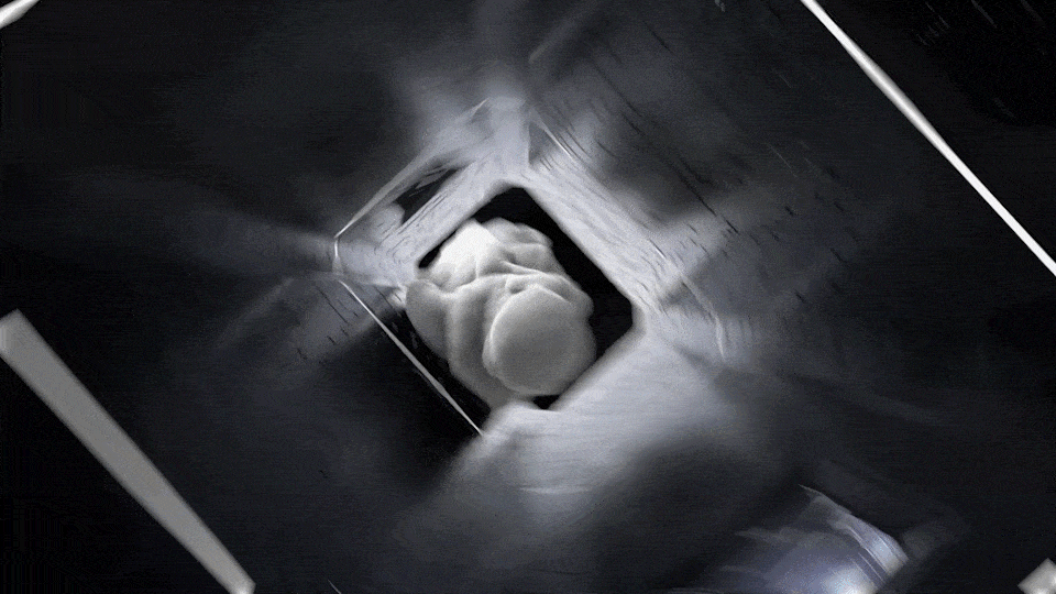 三维视频｜大家电 老板电器 抽油烟机 产品TVC⤬乐趣