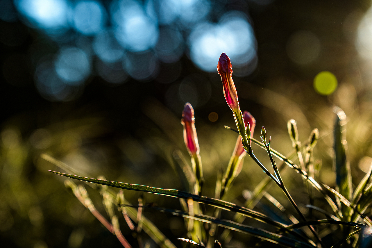 抬头的一瞬间,定格时光