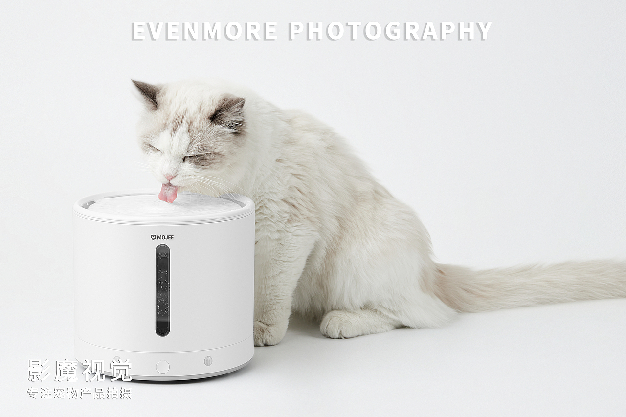猫咪饮水机|宠物产品拍摄