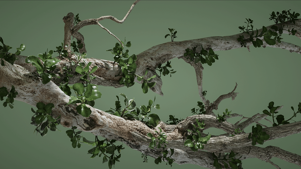 Maowang sound 小音箱（圖ZMzI5NDQ0ODgw） - 動畫/影視 - 站酷設(shè)計師靈魂小蜜蜂原創(chuàng)素材 - 站酷ZCOOL