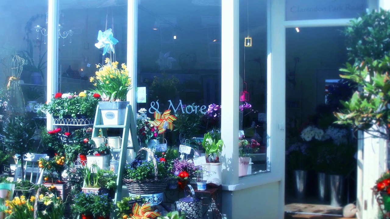 二次元乙女向恋爱养成游戏《玩命爱》pv