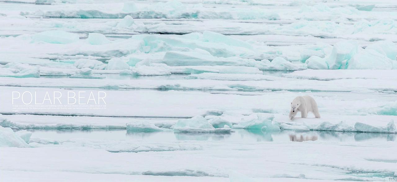 融创大湾区.冰雪文旅综合体 城市客厅概念设计方案