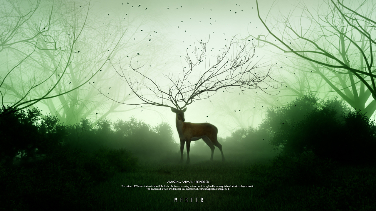 HONOR 20 WONDER ID 视频（图ZMzIwNTM1MjYw） - 产品 - 站酷设计师MasterPictures原创素材 - 站酷ZCOOL