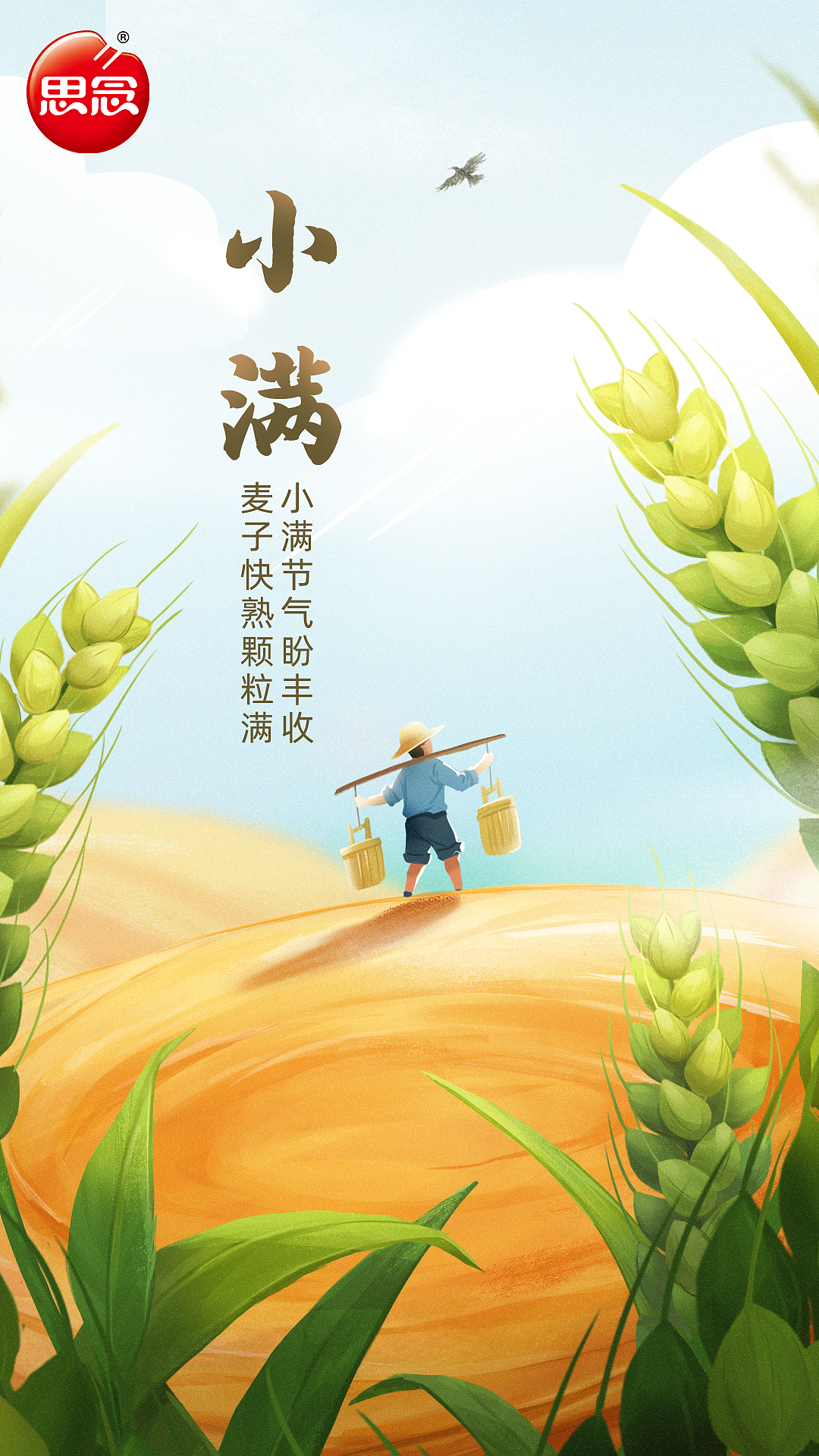 思念食品节气插画设计