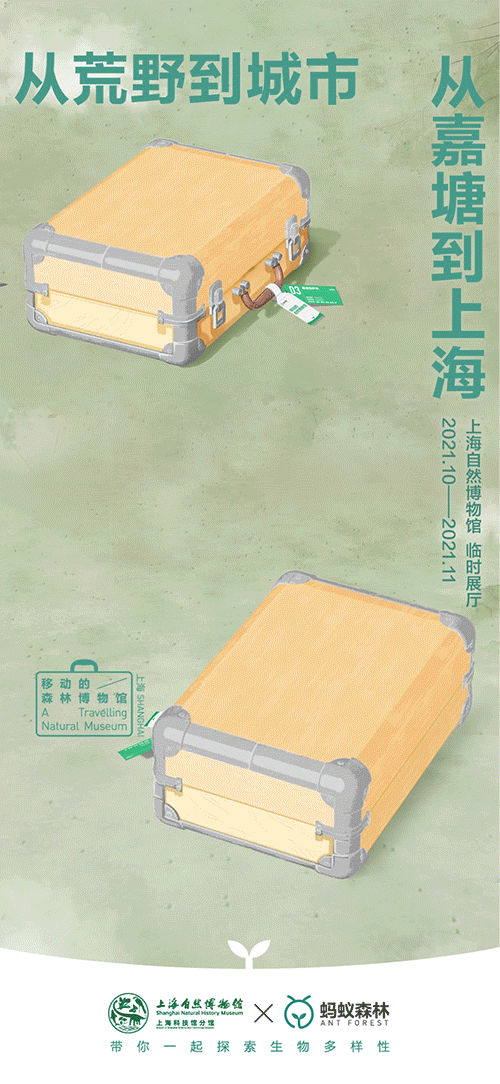 【蚂蚁森林】蚂蚁森林×上海自然博物馆联合生态海报