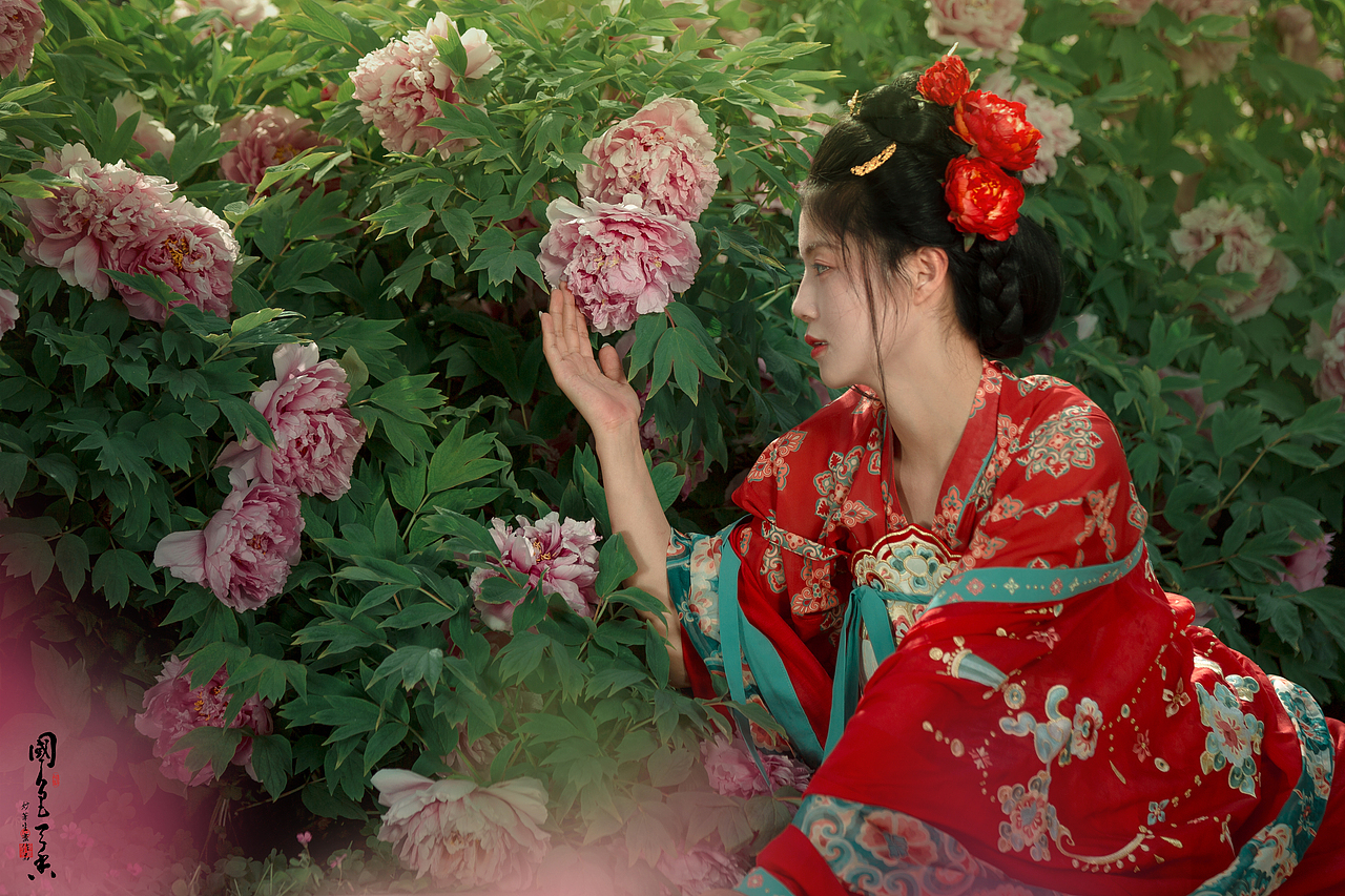 唯有牡丹真国色