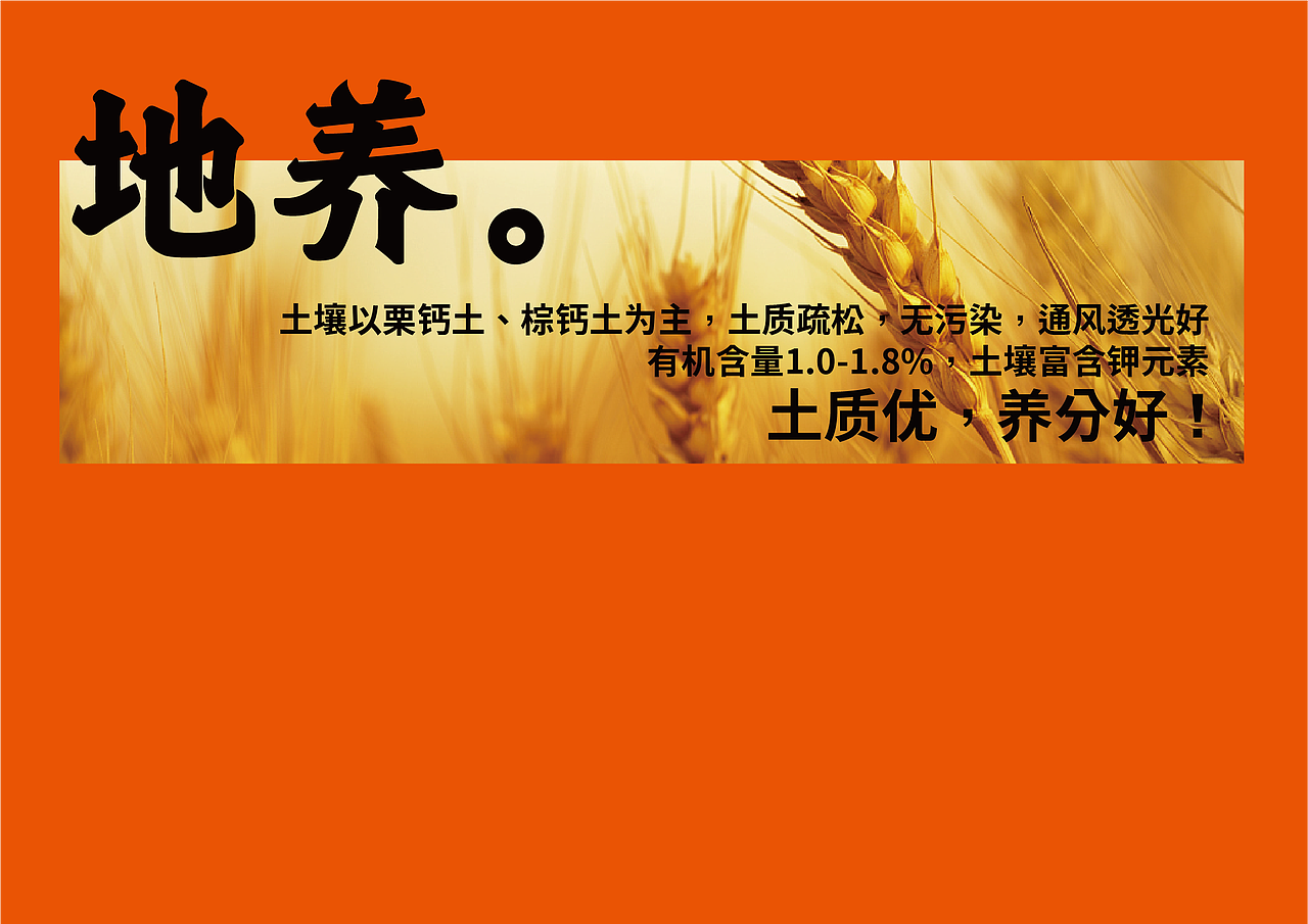 旱地红皮面粉包装设计