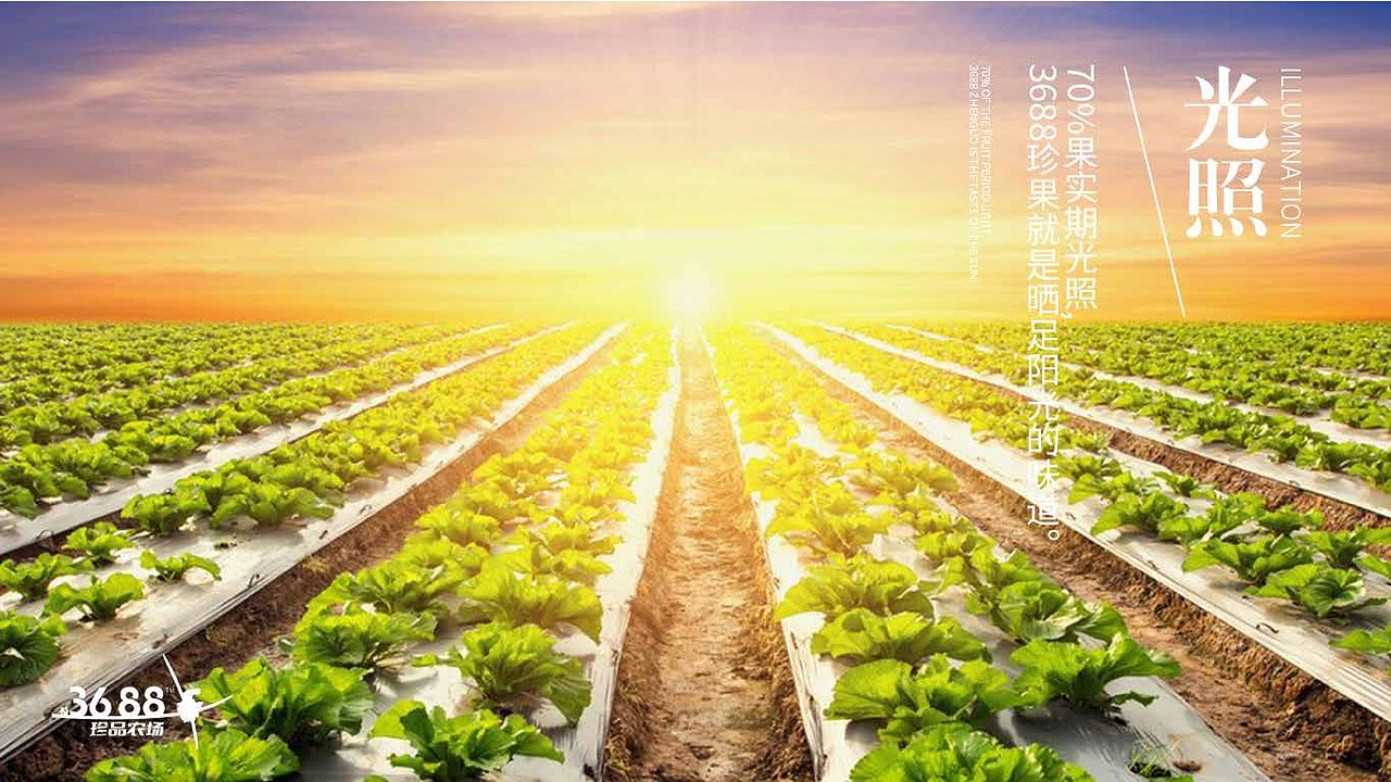 农场品牌设计案例|3688珍品农场 在其位·出奇珍（图ZMzQxMDE3MTI0） - 品牌 - 站酷设计师象造文创原创素材 - 站酷ZCOOL