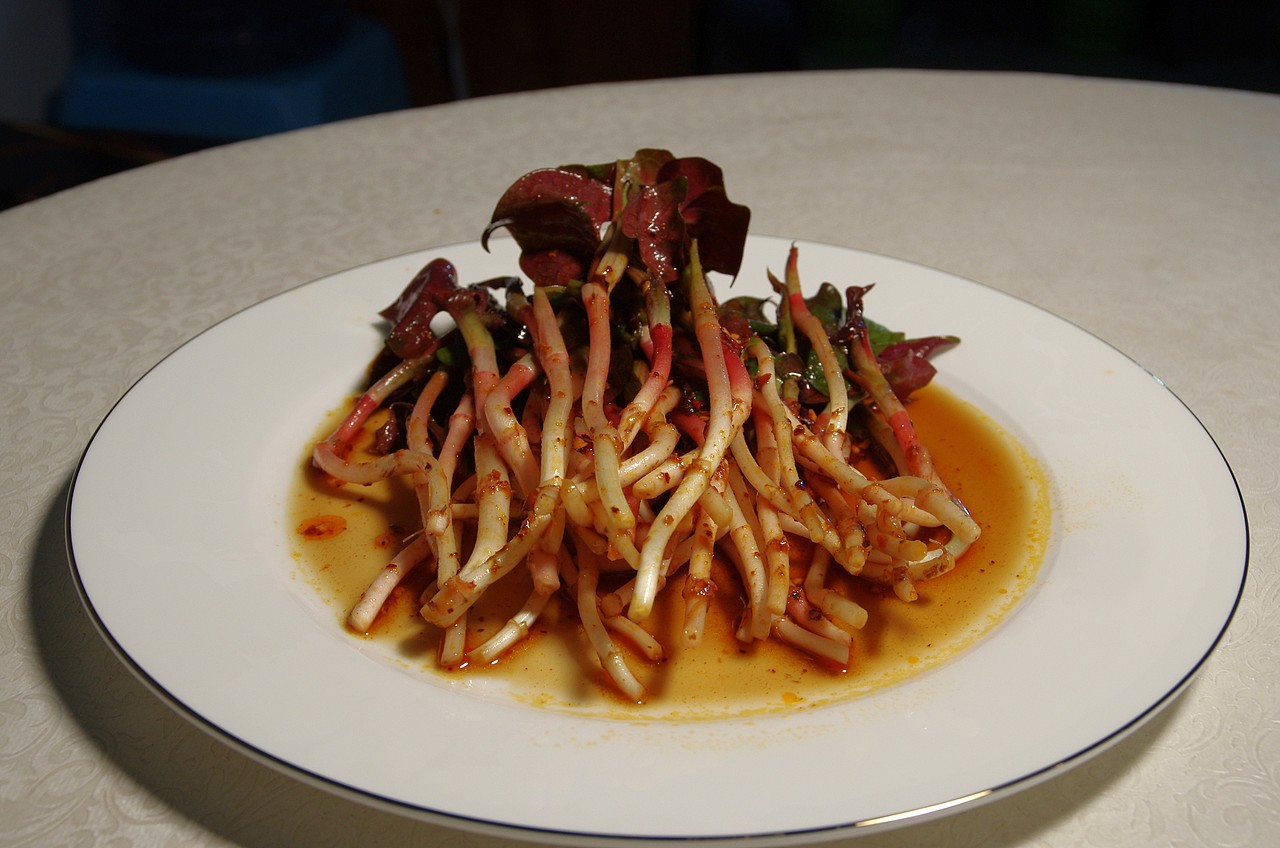 纯天然绿色食品~野生折耳根