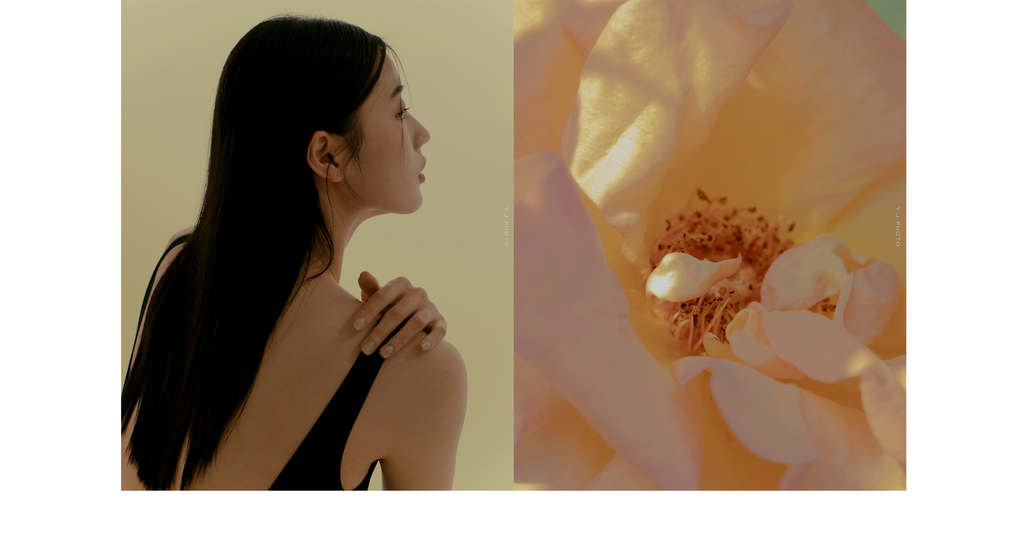 商业摄影|生于自然|然本萃