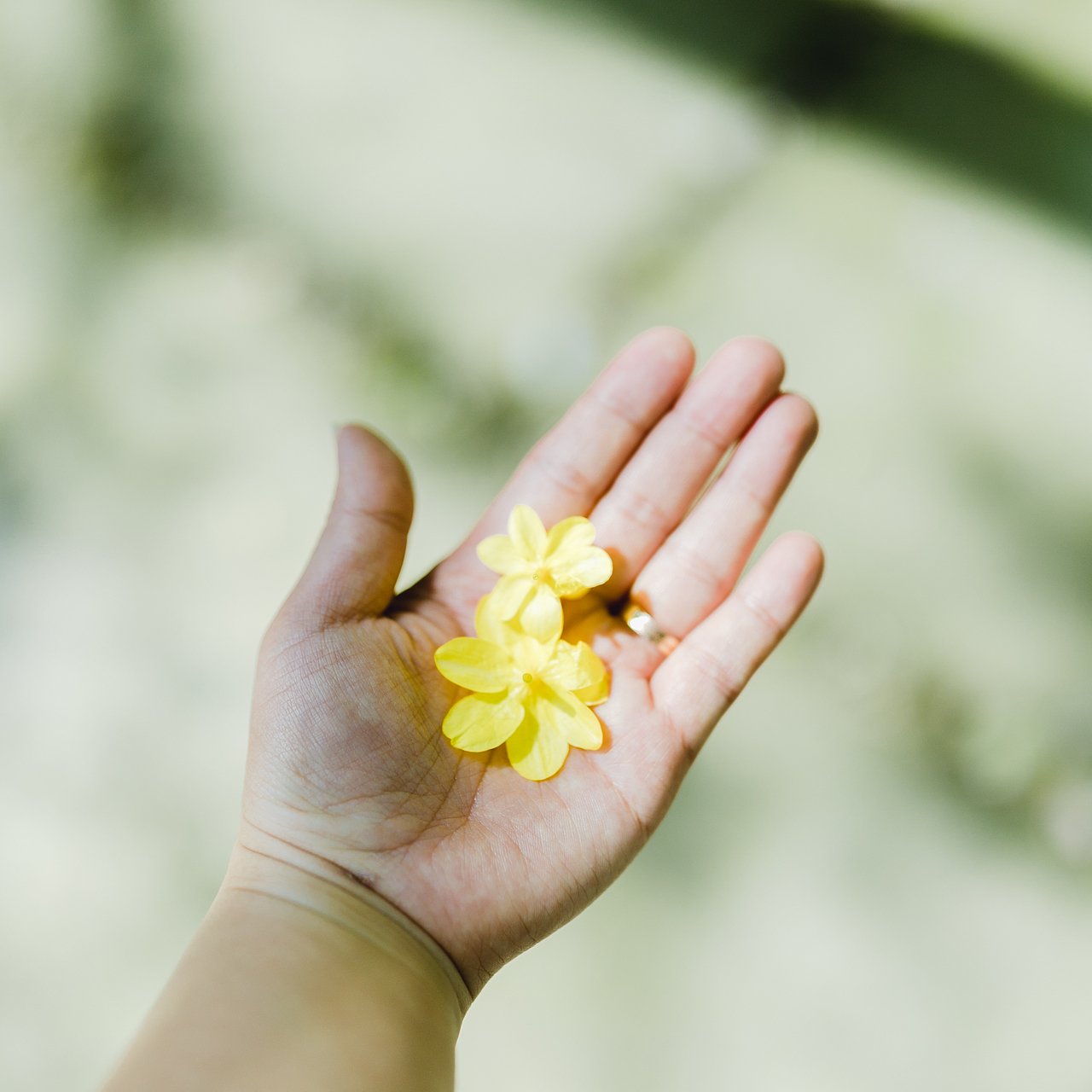 你是春天的一部分