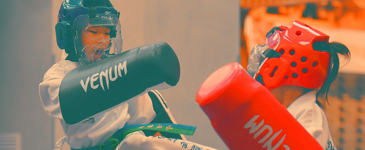 德盟武道品牌全案-视觉系统