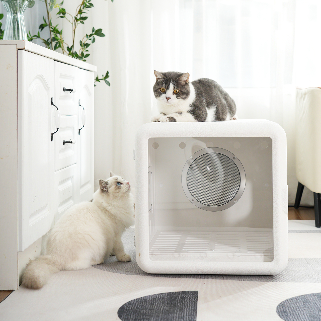 电器产品摄影宠物吹毛机主图视频拍摄亚马逊详情设计产