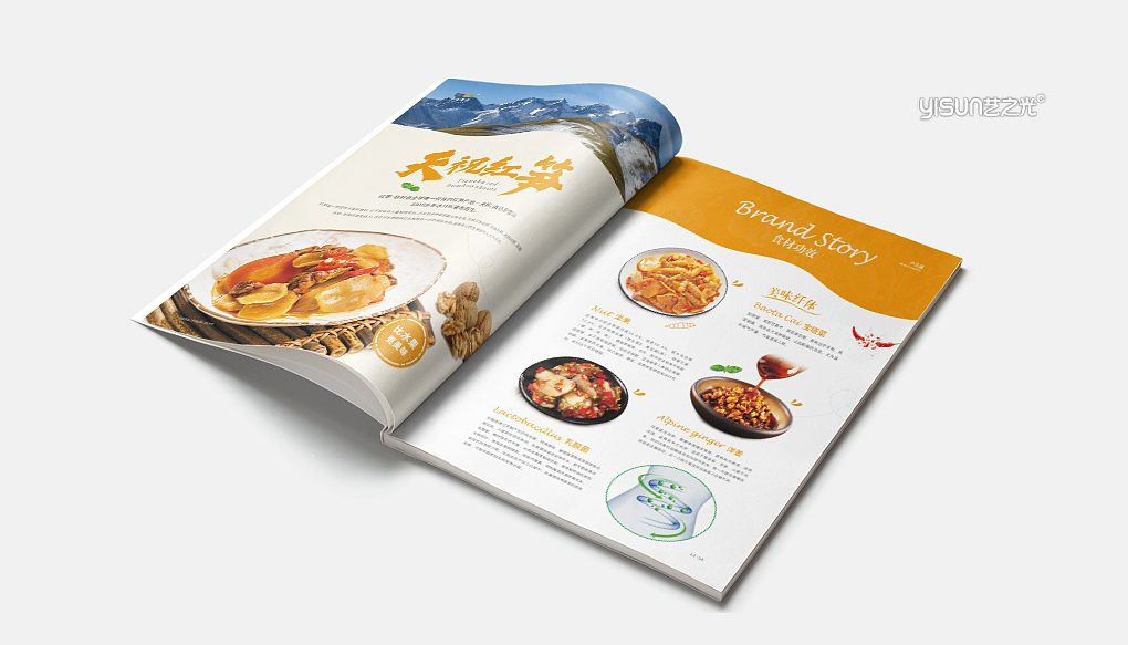 企业画册|企业宣传册|平面设计|画册设计|招商画册