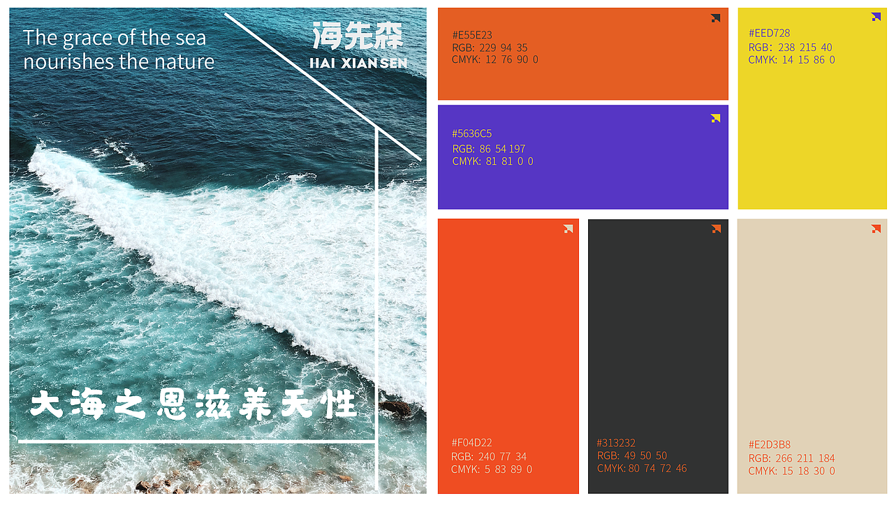 海先森猫粮罐头包装全案 | 包装设计