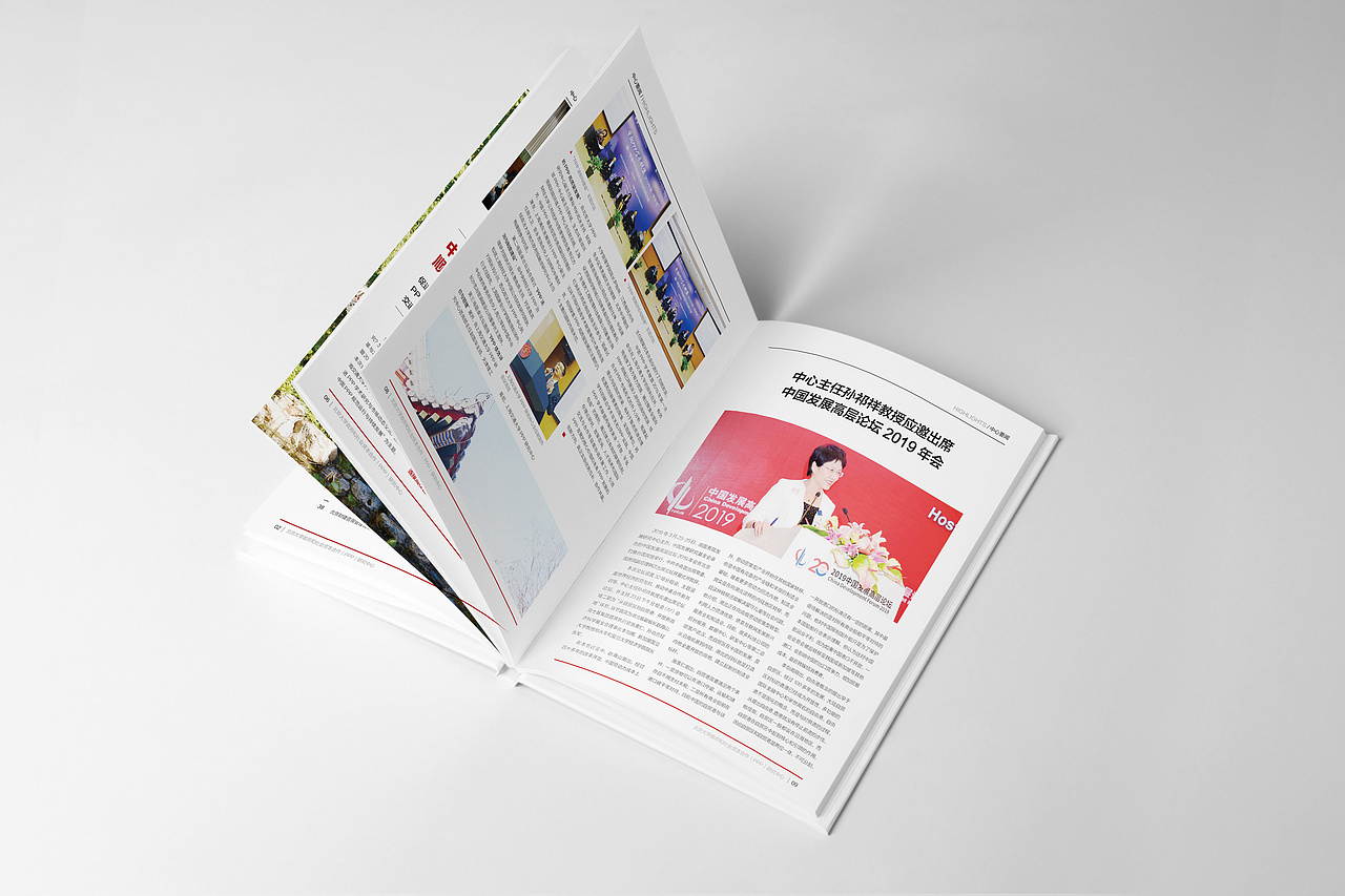 北京大学PPP中心内刊简报杂志设计第五期