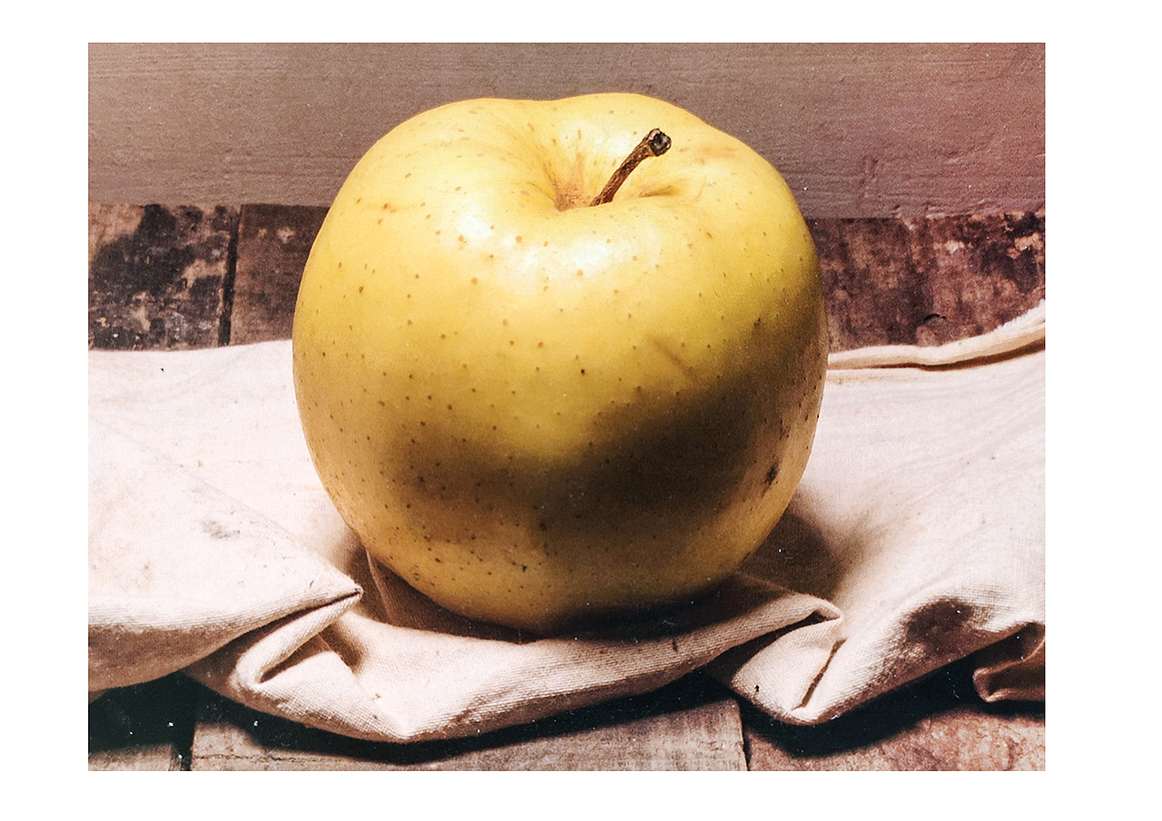苹果绘画