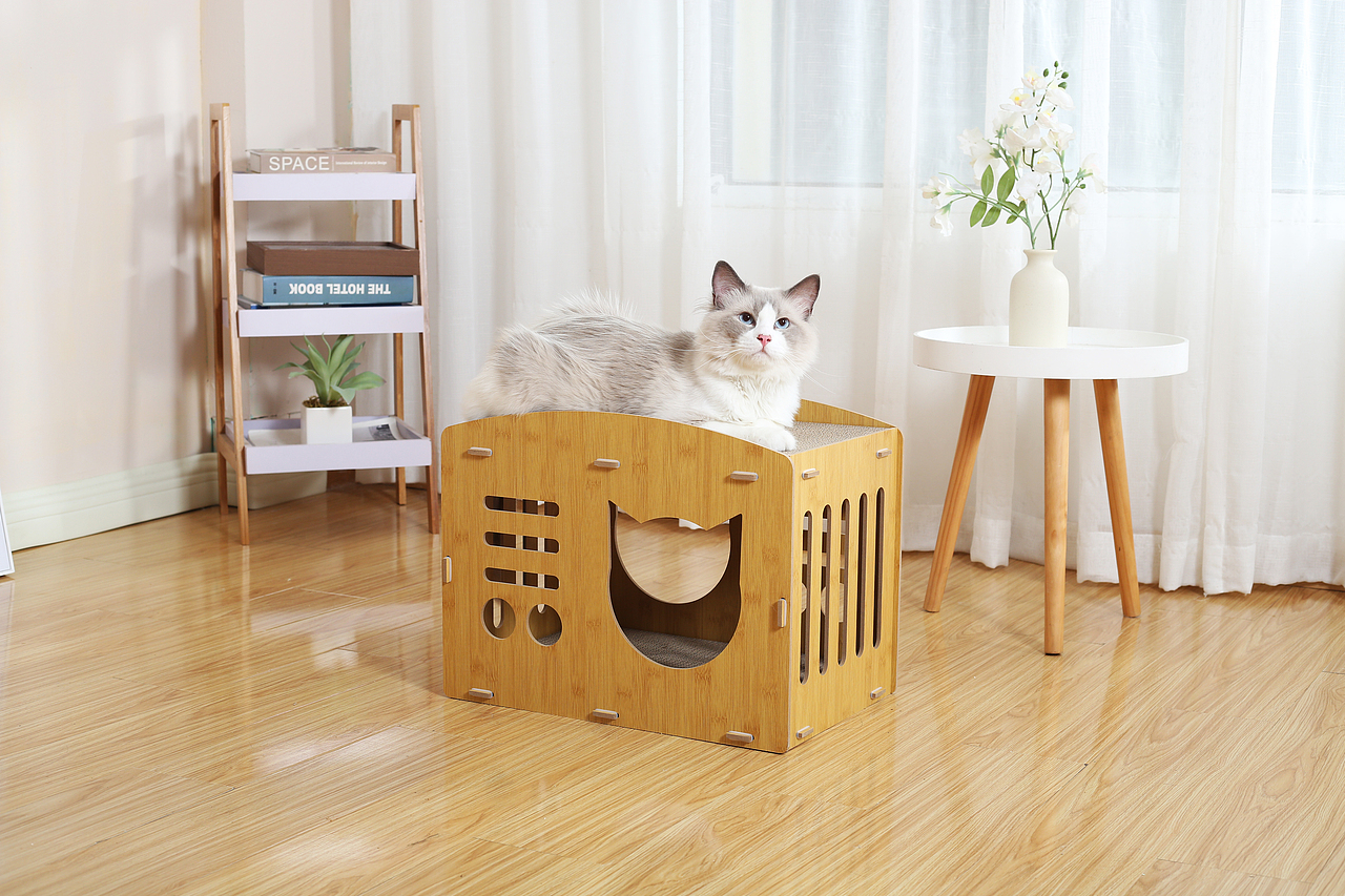 猫咪逗猫棒宠物产品亚马逊拍摄视频主图制作设计静物拍