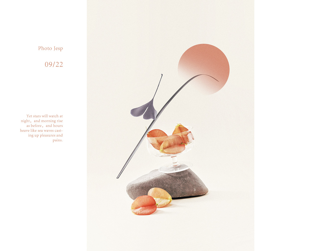 摇曳栾树（图ZMzE3Mzk0OTg0） - 美食摄影 - 站酷设计师jessipan原创素材 - 站酷ZCOOL