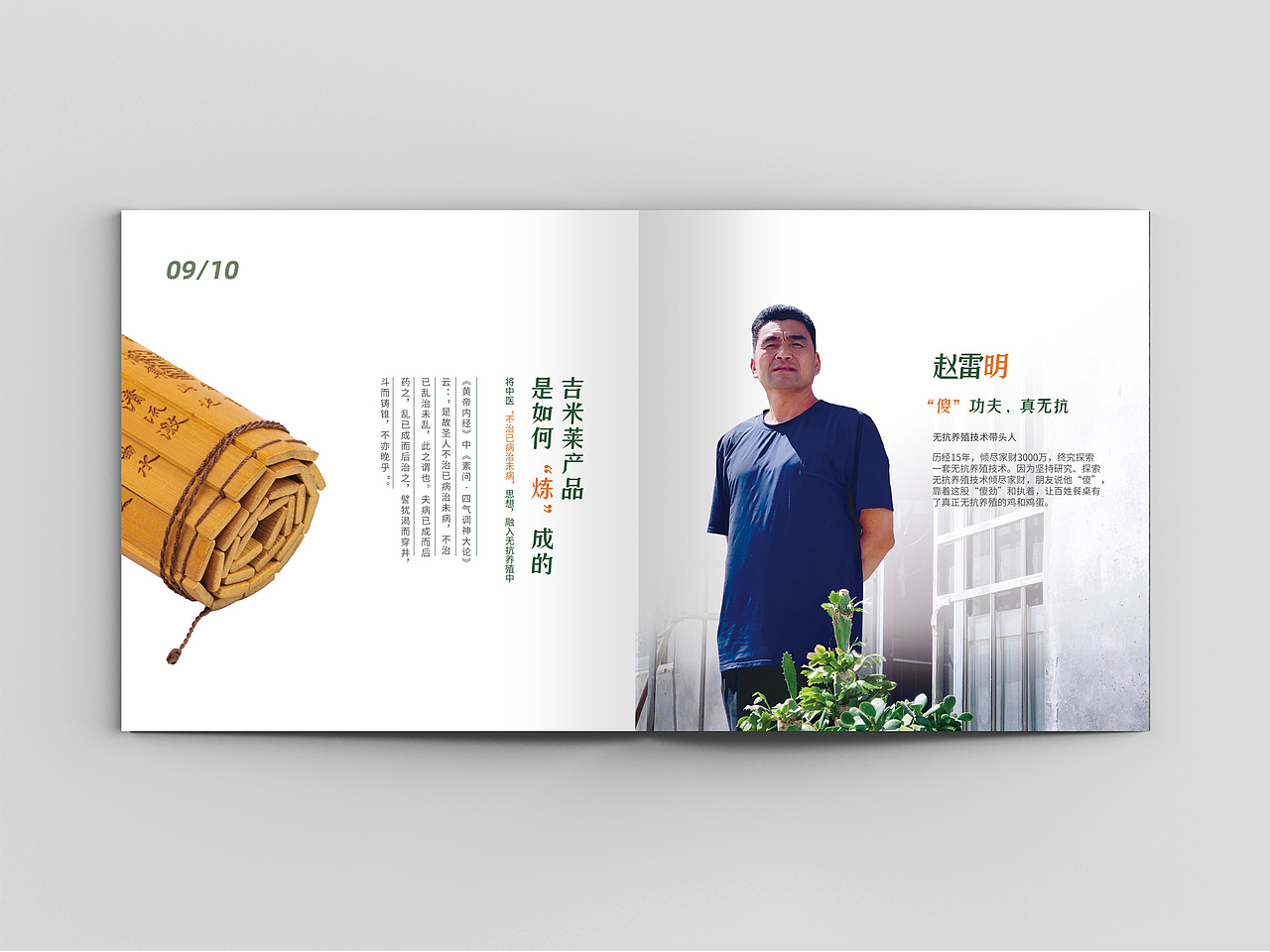 品牌画册 食品画册 企业画册 招商画册 鸡 鸡蛋画册