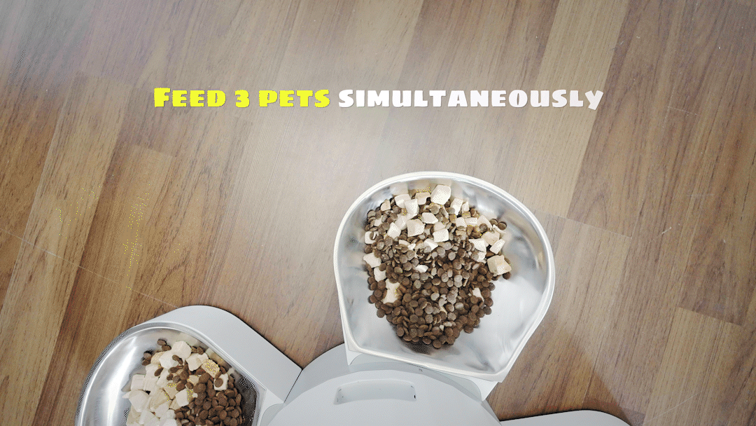 哆乐派宠物喂食器（图ZMzI0Nzk4ODcy） - 产品 - 站酷设计师功夫传媒原创素材 - 站酷ZCOOL