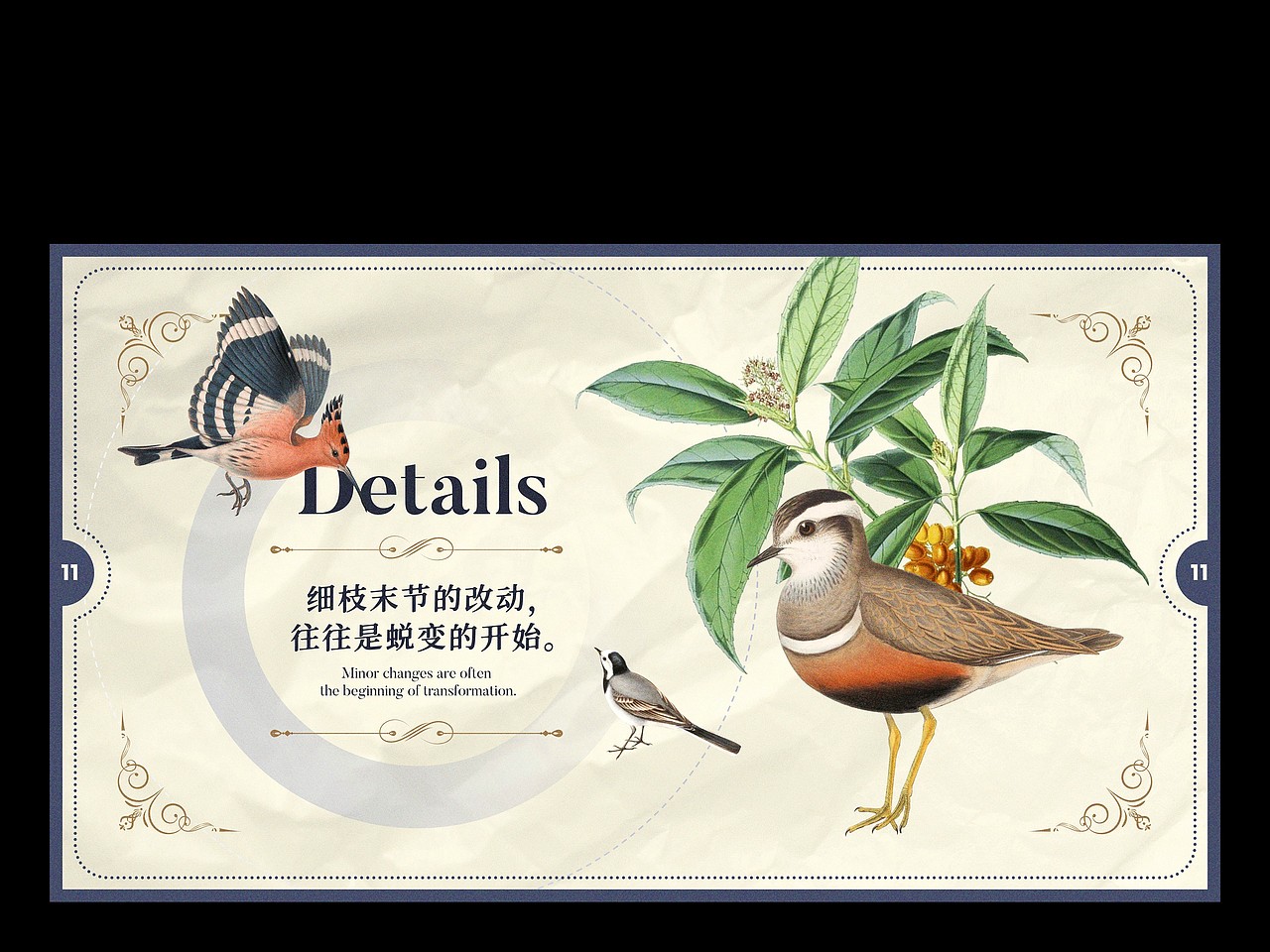 【自然选择不说】复古自然插画主题PPT模板（图ZMzE1MzQ5MDg0） - PPT/Keynote - 站酷设计师凉了药原创素材 - 站酷ZCOOL