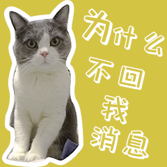 叮当的单身生活（图ZMzEyODE1MTY0） - 网络表情 - 站酷设计师runningPP原创素材 - 站酷ZCOOL