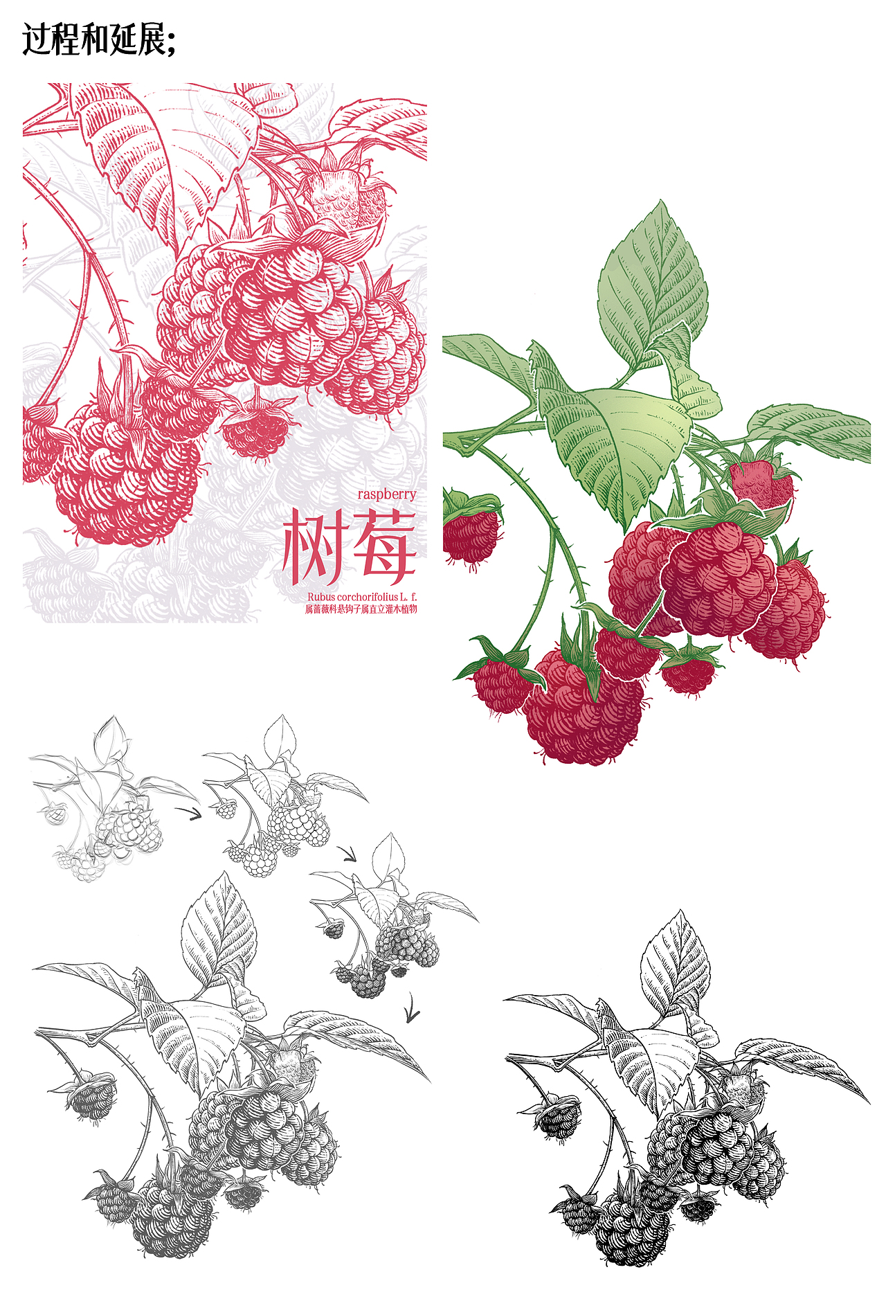 版画/钢笔画风格的一些小画（图ZMzQyOTYzMDky） - 商业插画 - 站酷设计师樱桃亭原创素材 - 站酷ZCOOL