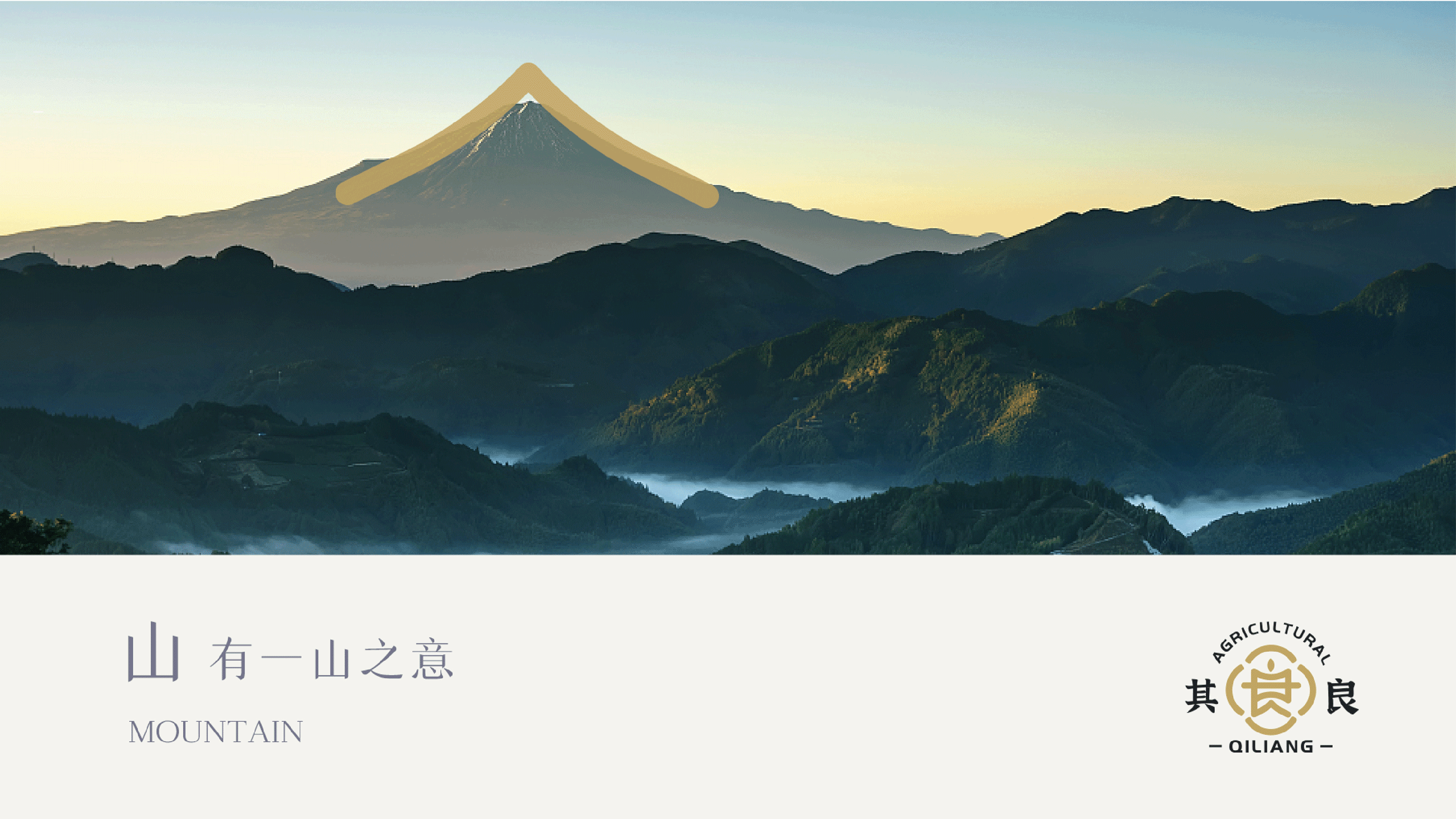山茶农产品品牌设计（图ZMzQ1NDU3MTAw） - 品牌 - 站酷设计师好设的桑桑原创素材 - 站酷ZCOOL